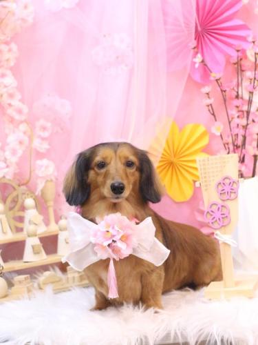 20250308めいちゃん